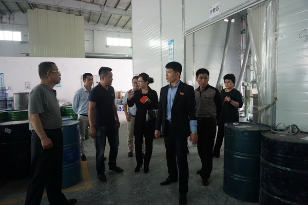 蜜桃网站入口可看油漆